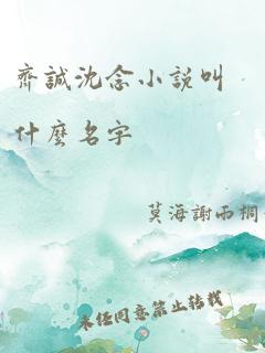 齐诚沈念小说叫什么名字