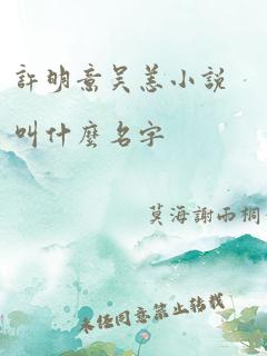 许明意吴恙小说叫什么名字