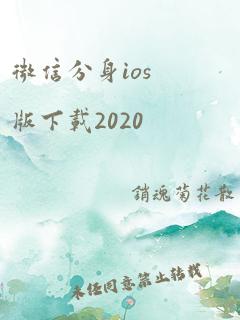 微信分身ios版下载2020