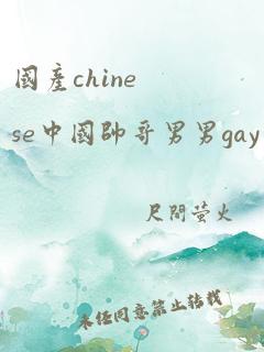 国产chinese中国帅哥男男gay网站