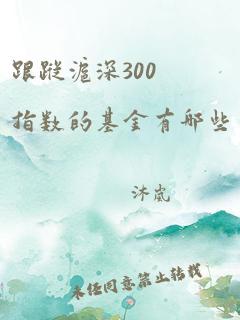 跟踪沪深300指数的基金有哪些