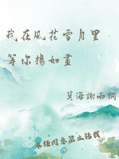 我在风花雪月里等你杨如画