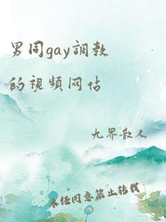 男同gay调教的视频网站