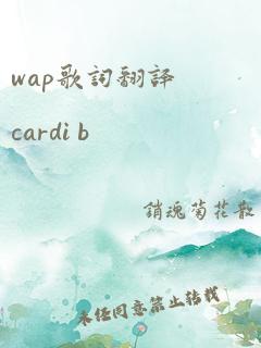 wap歌词翻译cardi b