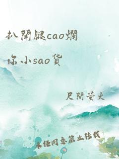 扒开腿cao烂你小sao货