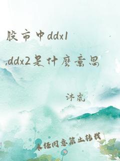 股市中ddx1,ddx2是什么意思