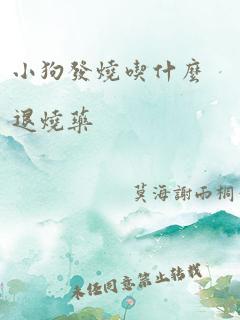 小狗发烧吃什么退烧药