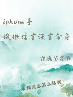 iphone手机微信有没有分身