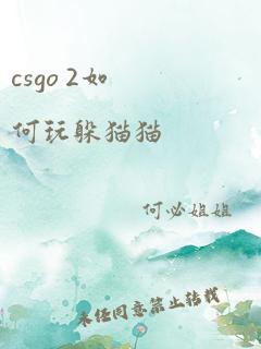 csgo 2如何玩躲猫猫