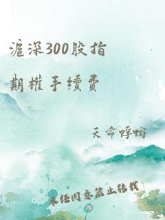 沪深300股指期权手续费