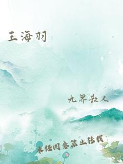 王海羽