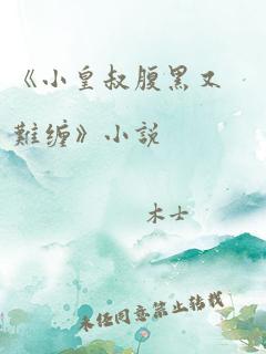 《小皇叔腹黑又难缠》小说