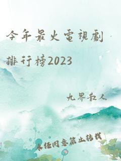 今年最火电视剧排行榜2023