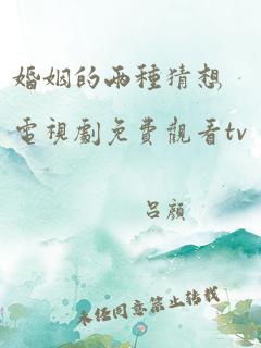 婚姻的两种猜想电视剧免费观看tv