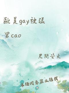 欧美gay被猛男cao