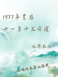 1977年农历十一月十三命运