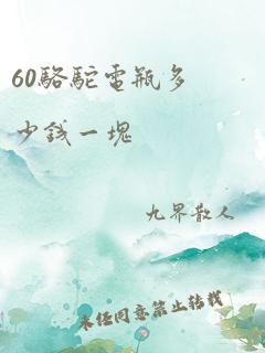 60骆驼电瓶多少钱一块