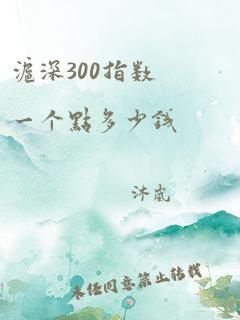 沪深300指数一个点多少钱