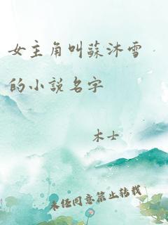 女主角叫苏沐雪的小说名字