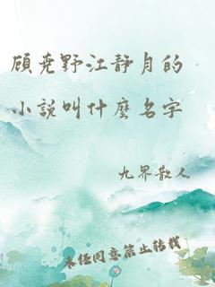 顾尧野江静月的小说叫什么名字