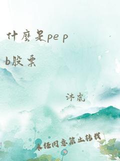 什么是pe pb股票