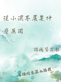 从小湿耳屎是什么原因