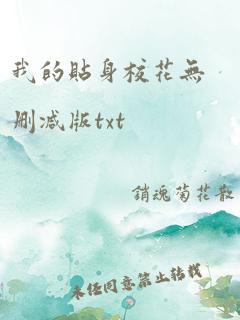 我的贴身校花无删减版txt