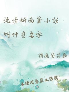 沈清妍南萧小说叫什么名字