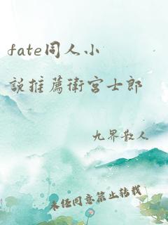 fate同人小说推荐卫宫士郎