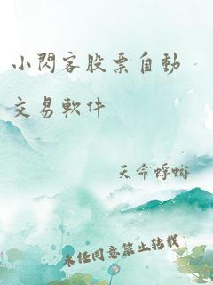 小闪客股票自动交易软件