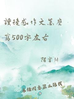 读后感作文怎么写500字左右