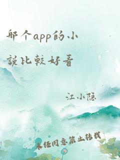 哪个app的小说比较好看