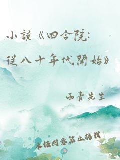 小说《四合院:从八十年代开始》