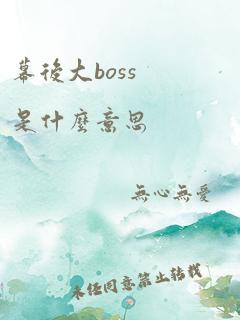 幕后大boss是什么意思