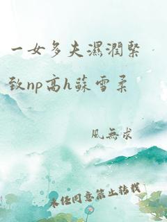 一女多夫湿润紧致np高h苏雪柔