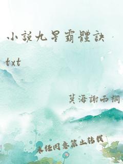 小说九星霸体诀txt