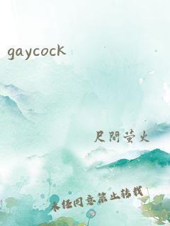 gaycock