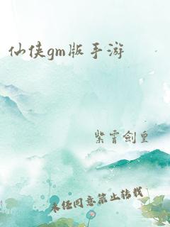 仙侠gm版手游