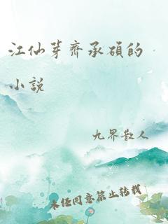 江仙芽齐承硕的小说