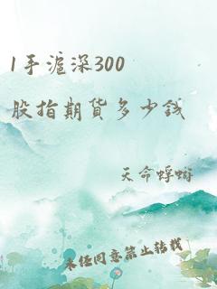 1手沪深300股指期货多少钱