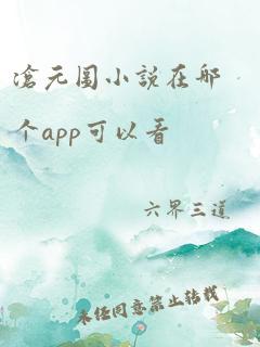 沧元图小说在哪个app可以看