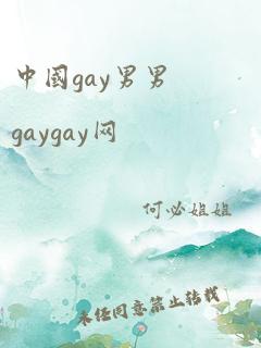 中国gay男男gaygay网