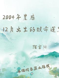 2004年农历12月出生的猴命运怎样