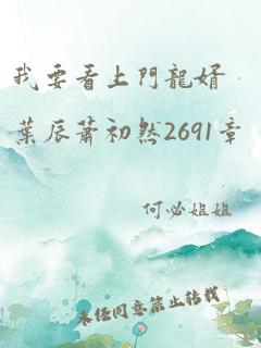 我要看上门龙婿叶辰萧初然2691章