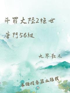 斗罗大陆2绝世唐门56级