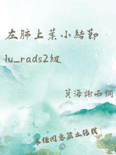 左肺上叶小结节lu_rads2级