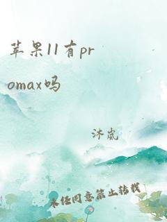 苹果11有promax吗