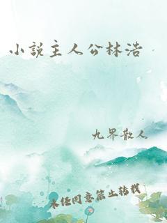 小说主人公林浩