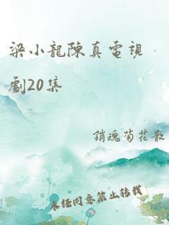 梁小龙陈真电视剧20集