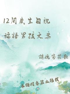 12周岁生日祝福语男孩文案